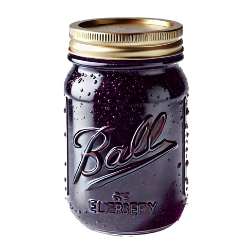 Elderberry Berry