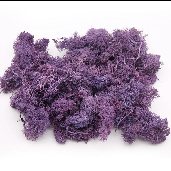 Purple Sea Moss – Seamoss by ross