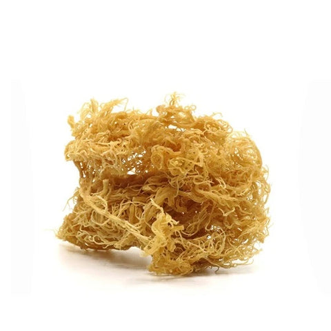 Irish Sea Moss